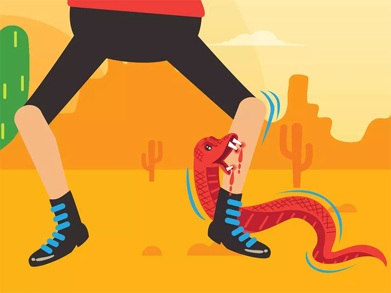 Kiểm tra khả năng sinh tồn của bạn