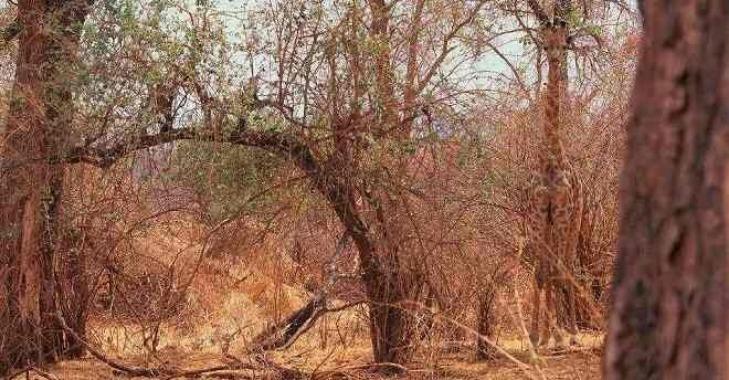 Thử tài tinh mắt