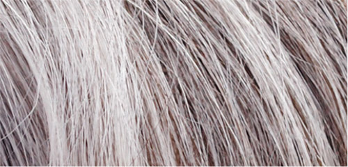 Thử tài phân biệt tóc người và bơm ngựa Thử tài phân biệt tóc người và bơm ngựa