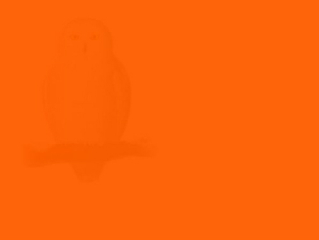 Kiểm tra độ tinh mắt và tư duy trừu tượng