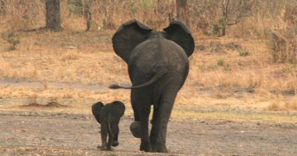 Hỏi xoáy đáp xoay: Bạn có giải được hết 10 câu đố hại não này? Hỏi xoáy đáp xoay: Bạn có giải được hết 10 câu đố hại não này?