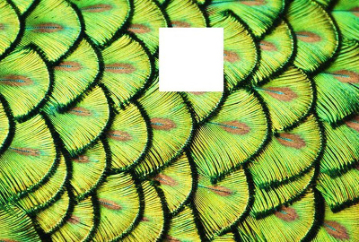 Thử tài tinh mắt Thử tài tinh mắt