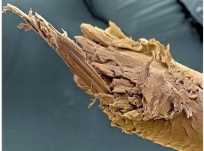 Bạn sẽ được phong "thánh" nếu đoán trúng hết những hình ảnh sau đây