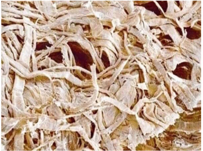 Bạn sẽ được phong "thánh" nếu đoán trúng hết những hình ảnh sau đây