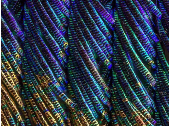 Bạn sẽ được phong "thánh" nếu đoán trúng hết những hình ảnh sau đây