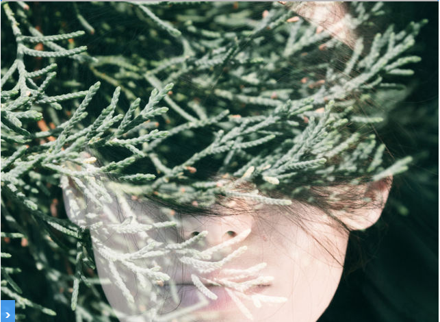 Trắc nghiệm: Điều bạn thực sự mong muốn trong cuộc sống này là gì?