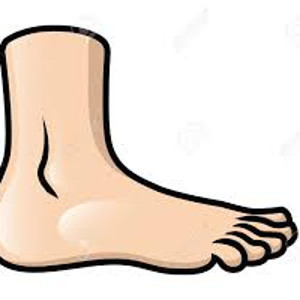 flashcard-hoc-tu-vung-cac-bo-phan-tren-co-the-nguoi flashcard-hoc-tu-vung-cac-bo-phan-tren-co-the-nguoi