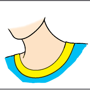 flashcard-hoc-tu-vung-cac-bo-phan-tren-co-the-nguoi flashcard-hoc-tu-vung-cac-bo-phan-tren-co-the-nguoi