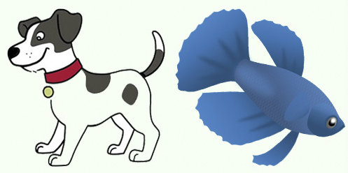 Đố vui Tiếng Anh