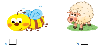 Bài tập ở nhà tiếng Anh lớp 1 mới trong thời gian nghỉ dịch Corona (từ 02/03 - 08/03)