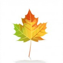 flashcard-cho-be-chu-de-mua-thu