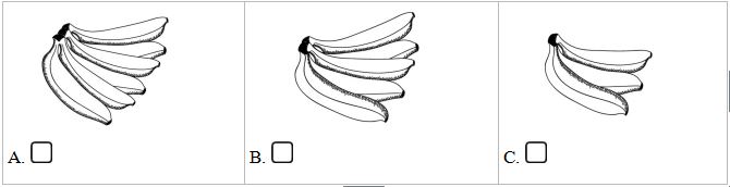 Đề kiểm tra Tiếng Anh lớp 5 có đáp án