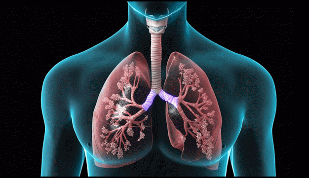 Trắc nghiệm từ vựng Unit 2 lớp 10: Your body and you