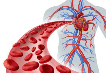 Trắc nghiệm từ vựng Unit 2 lớp 10: Your body and you