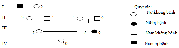 Đề thi thử THPT Quốc gia năm 2017 môn Sinh học