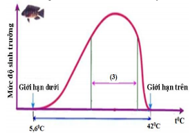 Đề thi học kì 2 môn Sinh học lớp 12