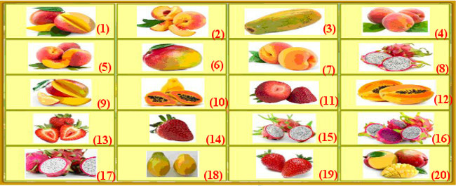 Đề thi giải Toán Tiếng Anh qua mạng lớp 2 có đáp án