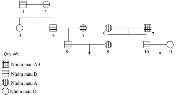 Đề thi thử THPT Quốc gia năm 2016 môn Sinh học