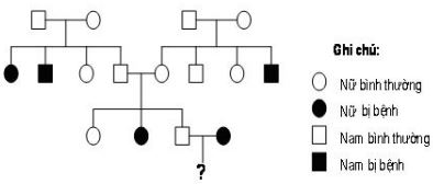 Đề thi thử THPT Quốc gia môn Sinh học năm 2016 trường PTDT Nội trú Thái Nguyên