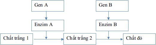 Đề thi thử THPT Quốc gia môn Sinh học năm 2016 trường THPT Đặng Thúc Hứa, Nghệ An (Lần 1) Đề thi thử Đại học môn Sinh có đáp án