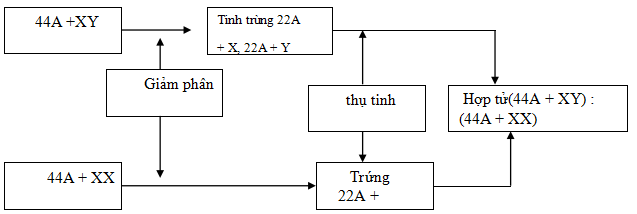 Đề thi thử đại học môn sinh
