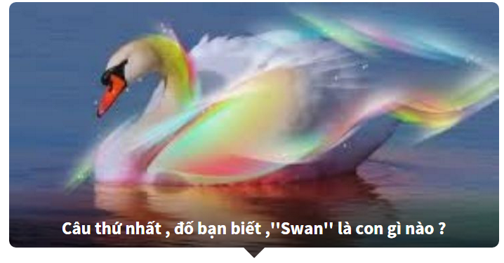 Đoán tên tiếng anh của các loài động vật 