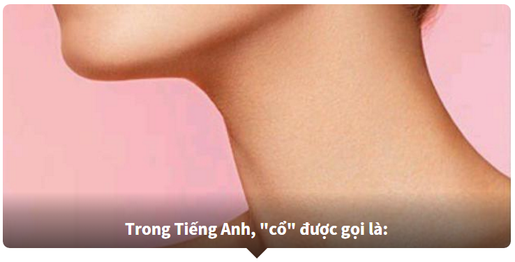 Từ vựng về các bộ phận trên cơ thể bằng Tiếng Anh - Bạn biết nhiều hay ít?